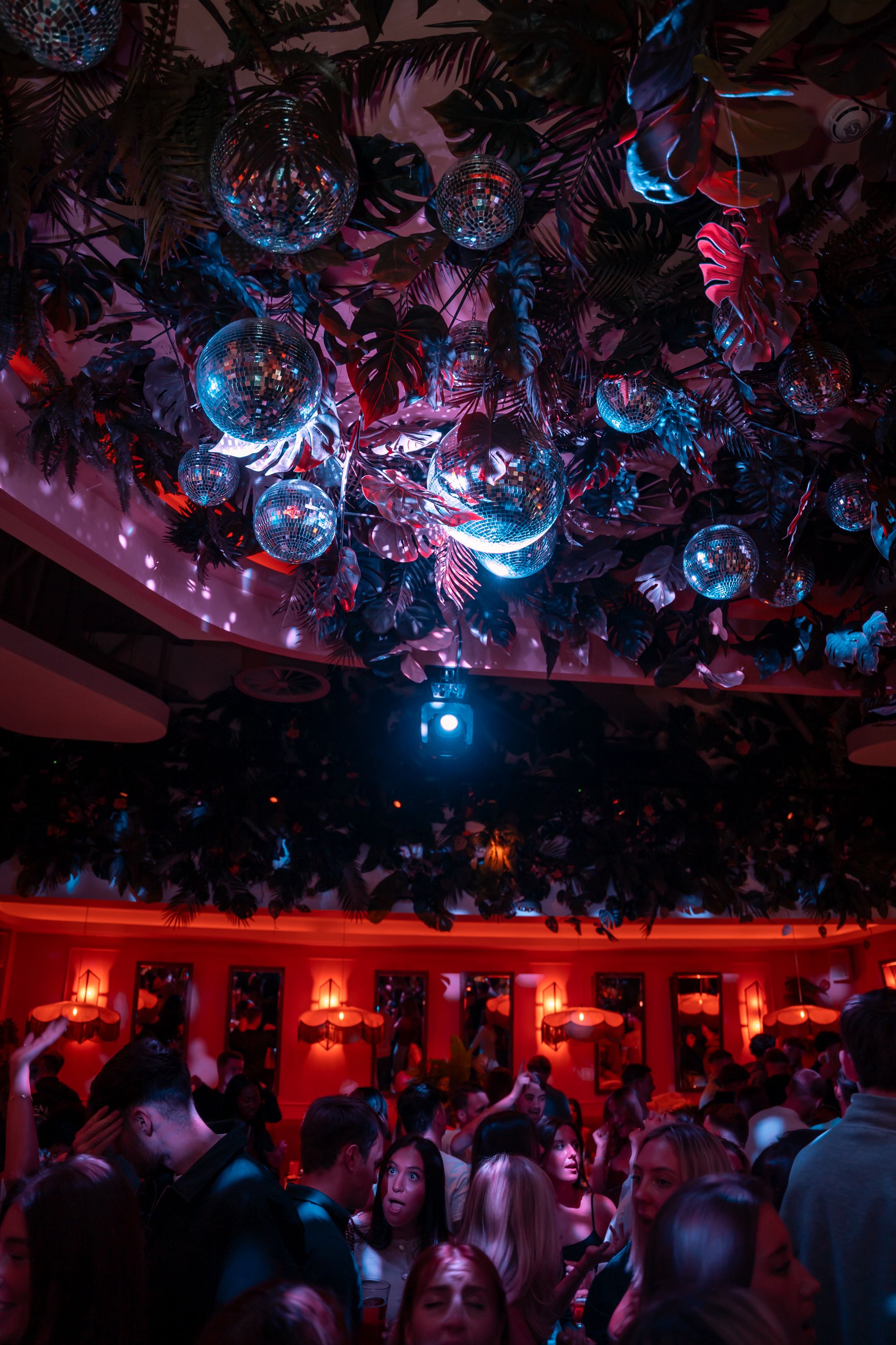 Late Nights at The Palm House